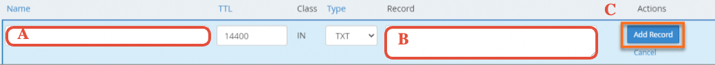 TXT record entry form for the DKIM record