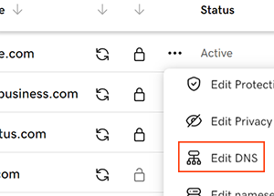 Edit DNS option in GoDaddy Domain Portfolio