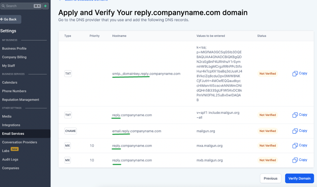 Example DNS record screenshot to share with support