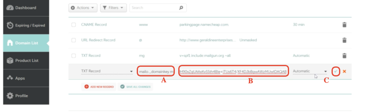 Second TXT record row in Namecheap DNS table