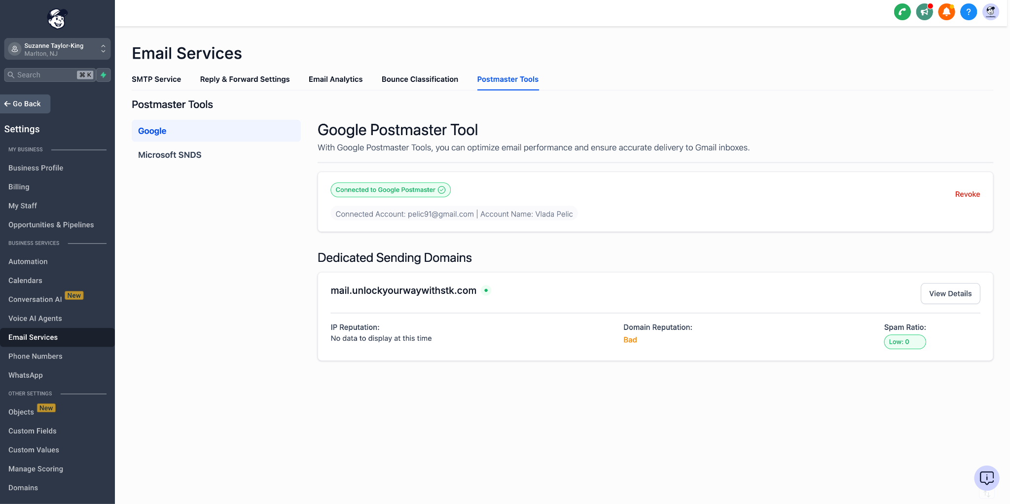 Navigating to Google Postmaster Tool in Email Service settings
